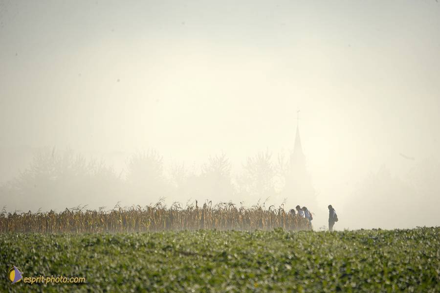 Nom de l'image : D30083029_1_(c)Norbert-JUNG — Description :